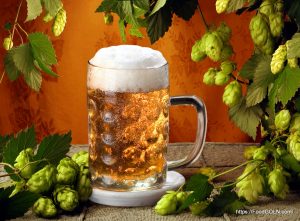 Beer 2 Beer (2)