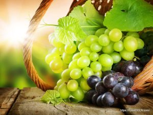 Grapes 21 Grapes (21)
