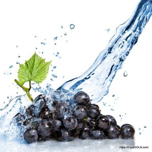 Grapes in Water 3 Grapes in Water (3)