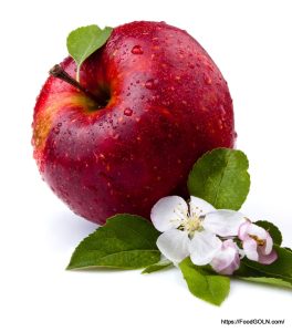 Red Apples and Apple tree Flowers 5 Red Apples and Apple-tree Flowers (5)