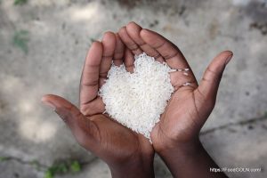 Rice 4 Rice (4)
