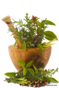 Spices 3 Herbs