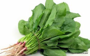 পালং শাক [ Palong Shak, Spinacia Oleracea ]