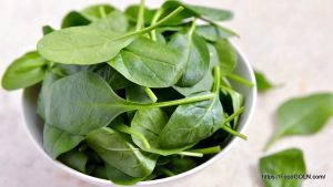 পালং শাক [ Palong Shak, Spinacia Oleracea ]