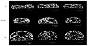 Research and development R&D role