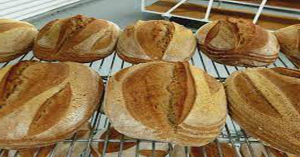 “Staff of Life” Bread - FUNDAMENTAL FACTS - PART II