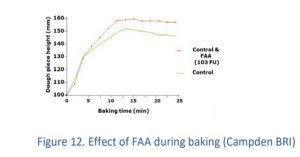 Dough processing route – first steps of the technological flow