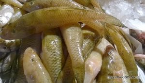 Bele বেলে Scribbled goby Awaous grammepomus 4 Bele, বেলে, Scribbled goby, Awaous grammepomus 4