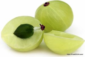 আমলকী [ Amlaki, Indian Gooseberry, Phyllanthus emblica ]