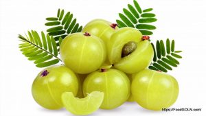 আমলকী [ Amlaki, Indian Gooseberry, Phyllanthus emblica ]