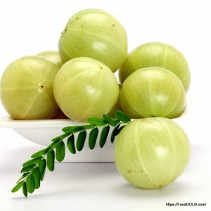 আমলকী [ Amlaki, Indian Gooseberry, Phyllanthus emblica ]