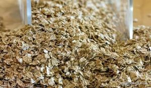 ওটমিল, دلیا , Oatmeal, دقيق الشوفان , जई का दलिया