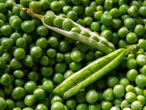 কড়াইশুঁটি Green Peas 1 1 কড়াইশুঁটি, Green Peas 1