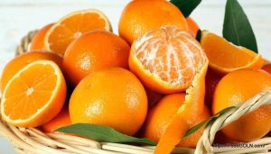 কমলা লেবু [ Orange, Citrus reticulata ]