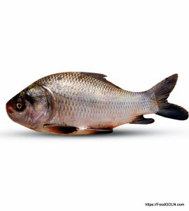কাতল মাছ কাতল মাছ
