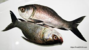 কাতল মাছ 3 কাতল মাছ 3
