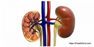 কিডনি রোগীর খাবার Food of kidney patient 1 কিডনি রোগীর খাবার, Food of kidney patient (1)