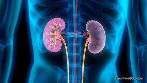 কিডনি রোগীর খাবার Food of kidney patient 7 কিডনি রোগীর খাবার, Food of kidney patient (7)