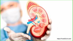 কিডনি রোগীর খাবার Food of kidney patient 8 কিডনি রোগীর খাবার, Food of kidney patient (8)