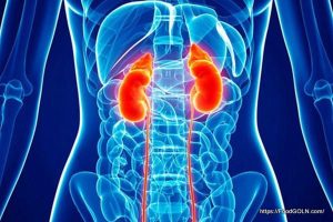 কিডনি রোগীর খাবার Food of kidney patient 9 কিডনি রোগীর খাবার, Food of kidney patient (9)