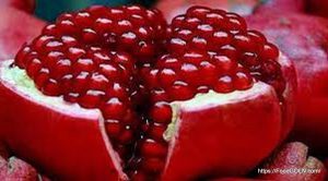 বেদানা [ Pomegranate ]