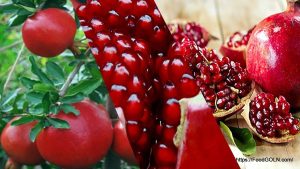 বেদানা [ Pomegranate ]
