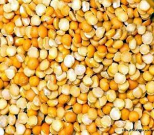 মটর ডাল Motor Dal Split Peas 2 মটর-ডাল, Motor Dal, Split Peas 2