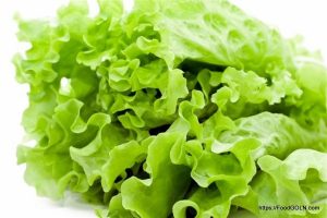 লেটুস [ Lettuce ]