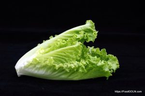লেটুস [ Lettuce ]