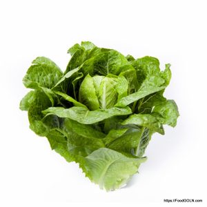 লেটুস [ Lettuce ]