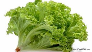 লেটুস [ Lettuce ]