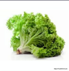 লেটুস [ Lettuce ]