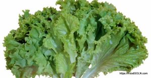 লেটুস [ Lettuce ]