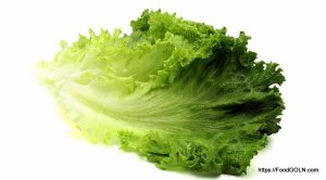 লেটুস [ Lettuce ]