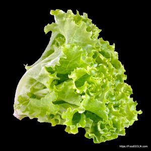 লেটুস [ Lettuce ]